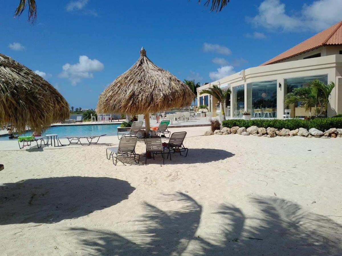 Special House In Gold Coast With Private Jacuzzi Villa Palm Beach Eksteriør billede